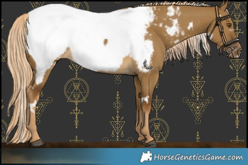 Horse Color:White Spotted Chocolate Palomino Dun Mushroom Snowcap 