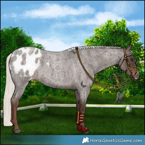 Horse Color:Liver Red Roan Mushroom Blanket Rabicano 