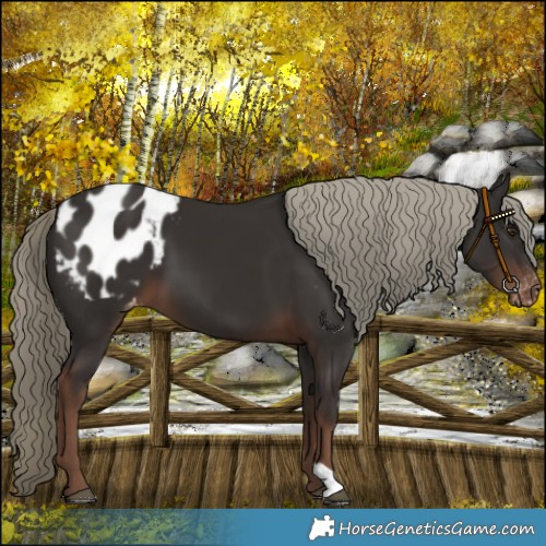 Horse Color:Liver Chestnut Mushroom Blanket