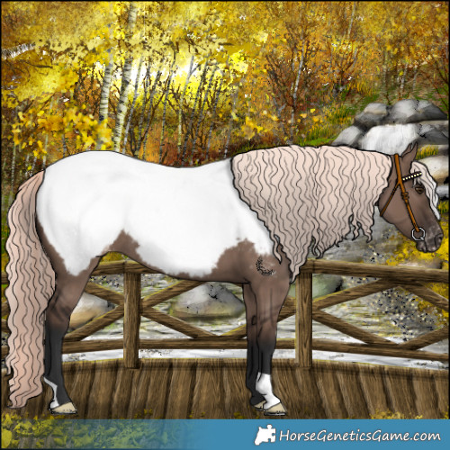 Horse Color:Liver Red Dun Mushroom Snowcap