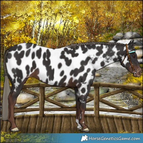 Horse Color:Liver Chestnut Mushroom Near Leopard 