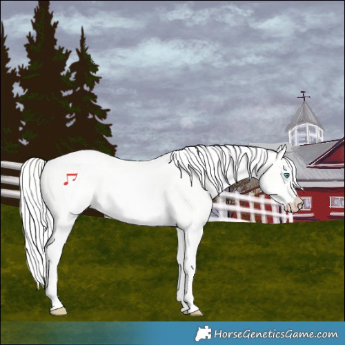 Horse Color:Cremello Dun 