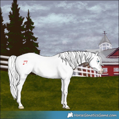 Horse Color:Silver Perlino Dun