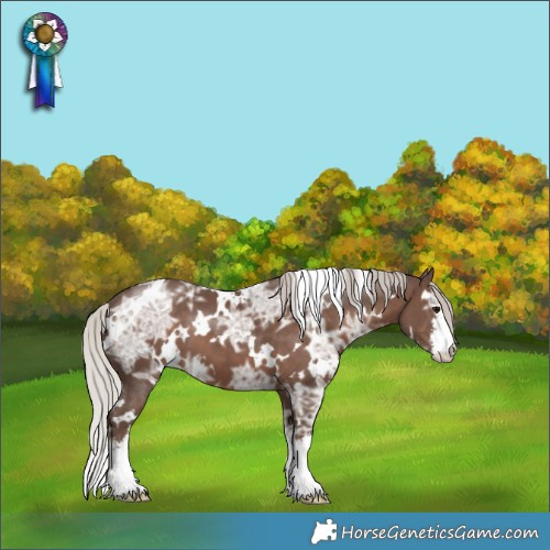Horse Color:White Spotted Silver Black Ice 