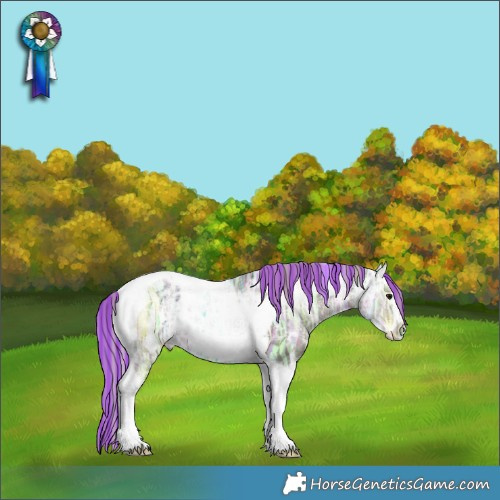 Horse Color:Painted White Spotted Silver Black Ice Tobiano Frame Rabicano