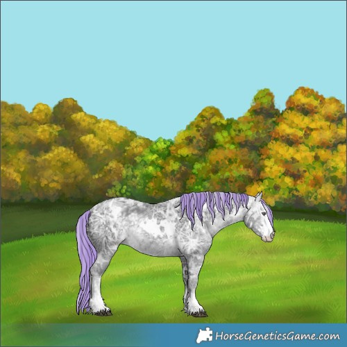 Horse Color:Painted White Spotted Silver Black Chinchilla Ice Sabino