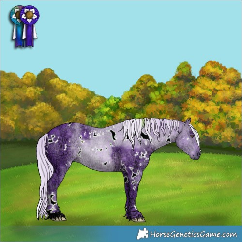 Horse Color:Watercolor White Spotted Silver Black Chinchilla Ice