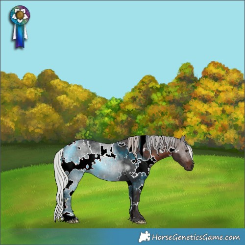 Horse Color:White Spotted Silver Brown