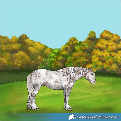 Horse Color:White Spotted Silver Black Ice 