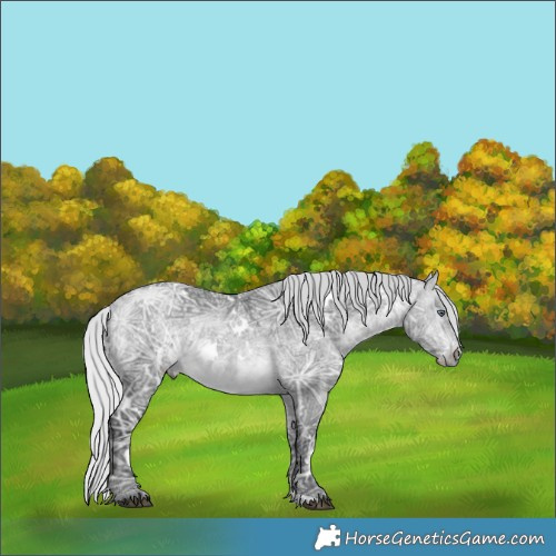 Horse Color:White Spotted Silver Bay Chinchilla Ice 