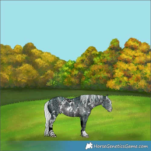 Horse Color:Watercolor White Spotted Silver Black Chinchilla Ice Sabino