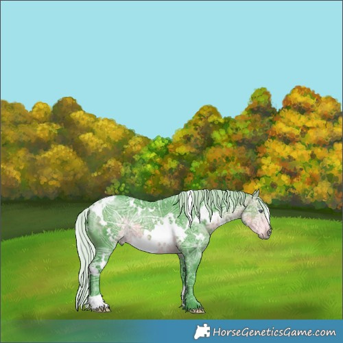 Horse Color:Watercolor White Spotted Silver Buckskin Chinchilla Ice 