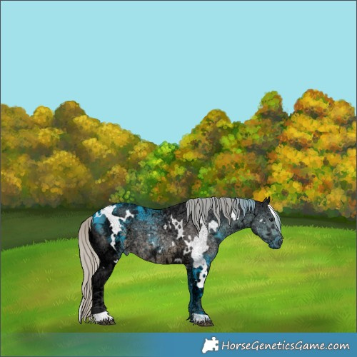 Horse Color:White Spotted Silver Smoky Black Ice