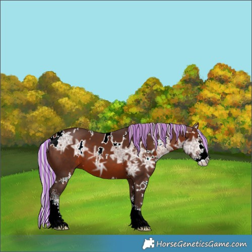 Horse Color:Painted White Spotted Silver Brown Ice Sabino