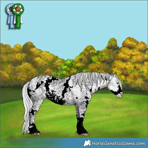 Horse Color:White Spotted Silver Smoky Black Chinchilla Ice Sabino