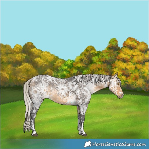 Horse Color:White Spotted Silver Buckskin Ice Tobiano