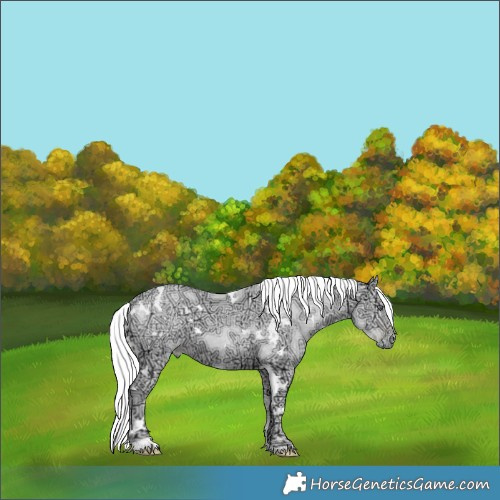 Horse Color:White Spotted Silver Smoky Black Chinchilla Ice Pearl 