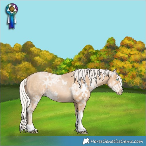 Horse Color:White Spotted Silver Smoky Black Ice Pearl Tobiano