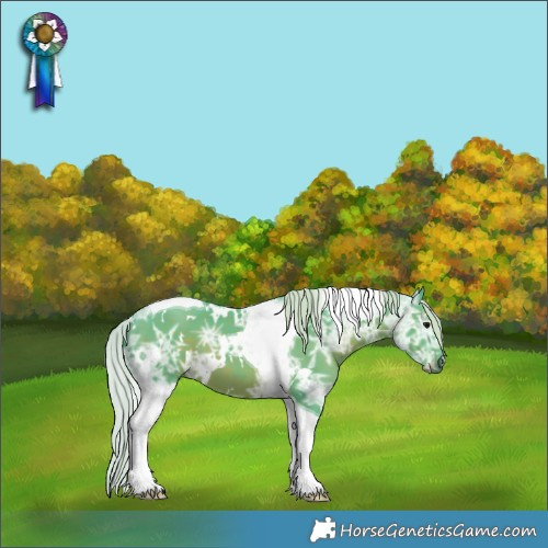 Horse Color:Watercolor White Spotted Silver Black Ice Tobiano 