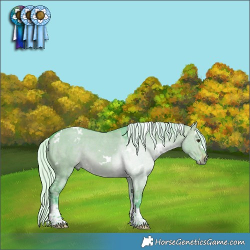Horse Color:Watercolor White Spotted Silver Brown Dun Tobiano 