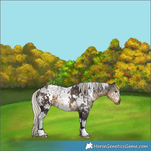 Horse Color:White Spotted Silver Smoky Black Ice