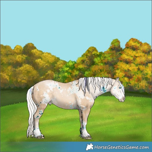 Horse Color:White Spotted Silver Smoky Black Pearl Sabino 