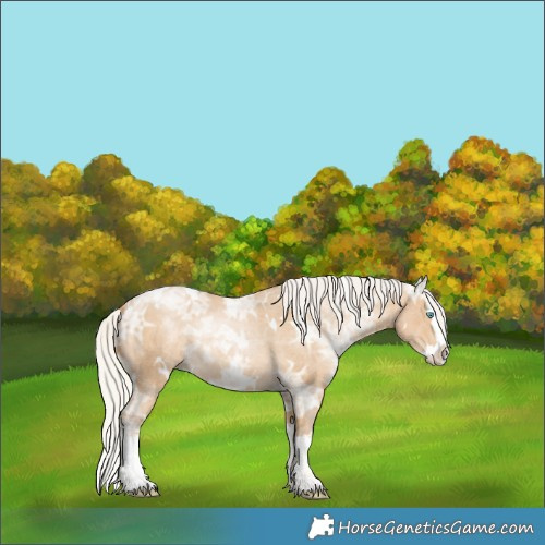 Horse Color:White Spotted Silver Smoky Black Ice Pearl Splash