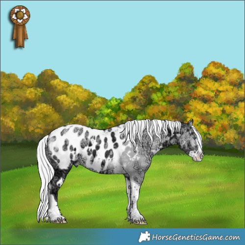 Horse Color:White Spotted Silver Buckskin Chinchilla Ice Dun Splash Tobiano Appaloosa