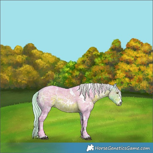Horse Color:Watercolor White Spotted Silver Buckskin Ice Rabicano 