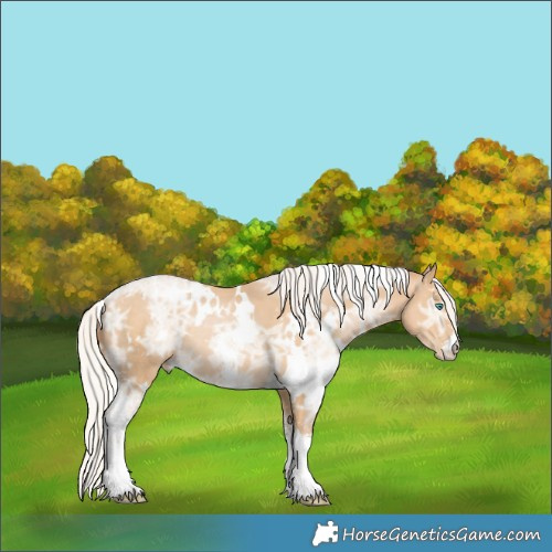 Horse Color:White Spotted Silver Smoky Black Ice Pearl Sabino