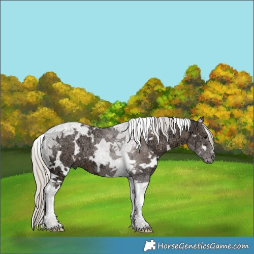 Horse Color:White Spotted Silver Black Ice Tobiano