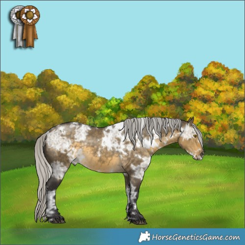 Horse Color:White Spotted Silver Buckskin Ice Dun Rabicano