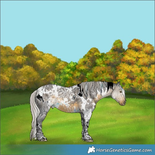 Horse Color:White Spotted Silver Buckskin Ice 