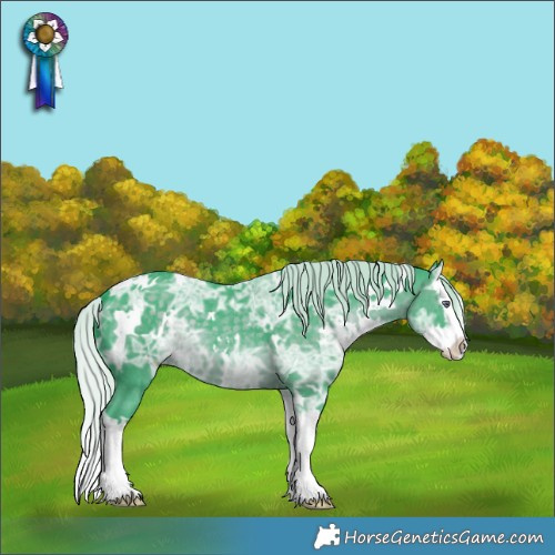 Horse Color:Watercolor White Spotted Silver Black Chinchilla Ice Splash 