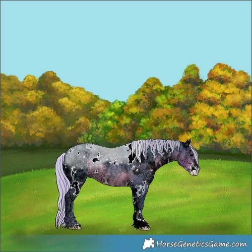 Horse Color:Watercolor White Spotted Silver Smoky Black Ice Sabino