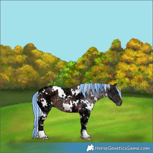 Horse Color:Painted White Spotted Silver Brown Ice