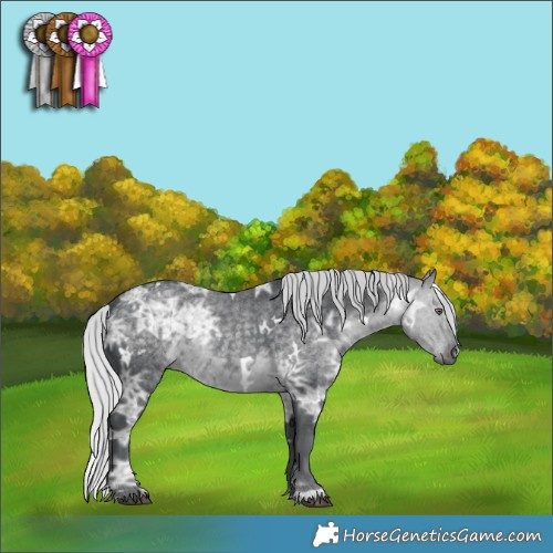 Horse Color:White Spotted Silver Black Chinchilla Ice 