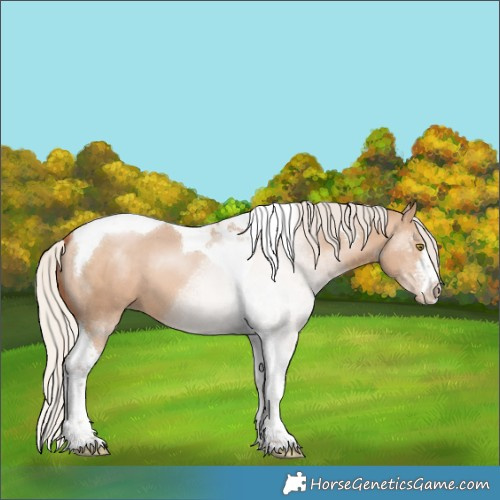 Horse Color:White Spotted Silver Brown Pearl Dun Tobiano