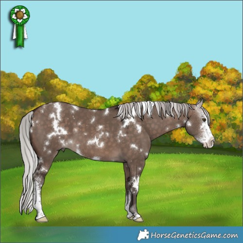 Horse Color:White Spotted Silver Brown Dun Mushroom Sabino 