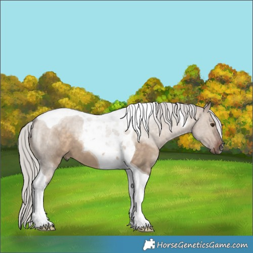 Horse Color:Silver Brown Dun Tobiano