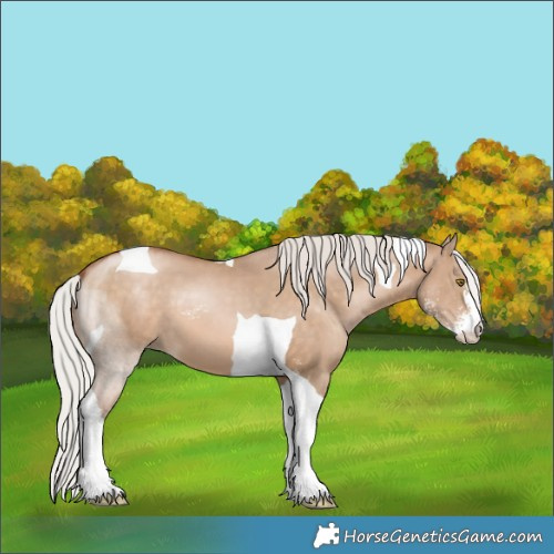 Horse Color:Silver Brown Pearl Dun Sabino Tobiano