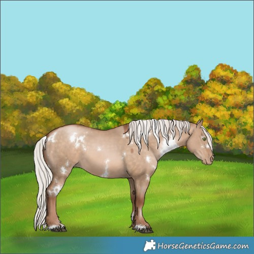 Horse Color:White Spotted Silver Brown Pearl Dun 