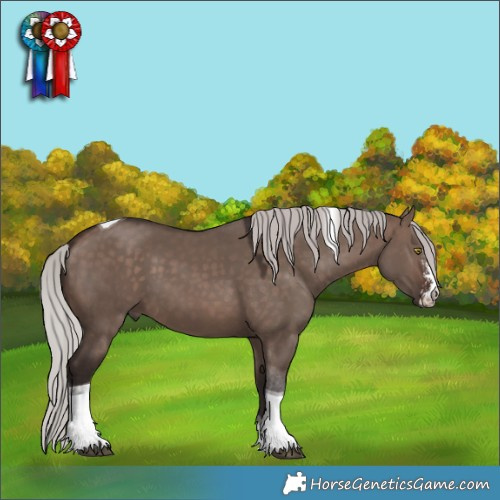 Horse Color:Silver Brown Dun Mushroom Sabino Tobiano
