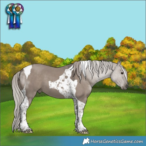 Horse Color:Silver Grullo Tobiano