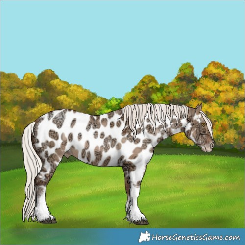 Horse Color:White Spotted Silver Brown Ice Pearl Dun Tobiano Appaloosa 