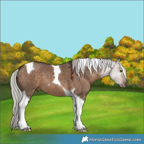 Horse Color:Silver Brown Dun Tobiano