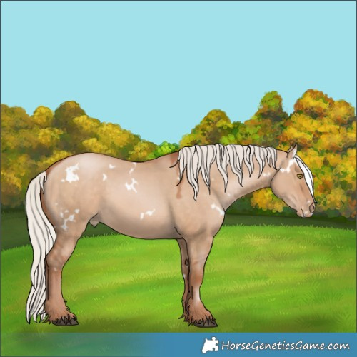 Horse Color:White Spotted Silver Brown Pearl Dun