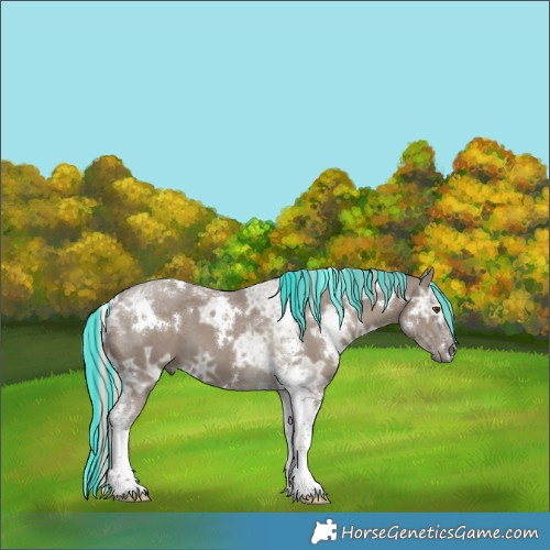 Horse Color:Painted White Spotted Silver Grullo Ice Tobiano 
