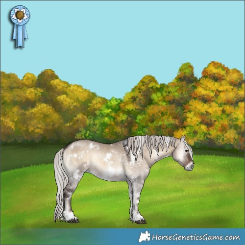 Horse Color:White Spotted Silver Brown Onyx