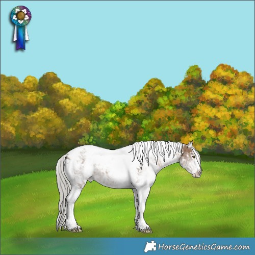 Horse Color:White Spotted Silver Brown Ice Dun Tobiano 